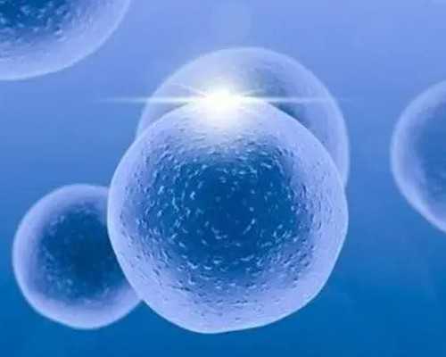 试管婴儿费用与医院选择指南