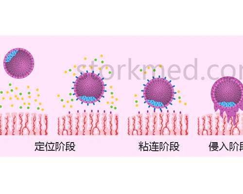 广州世纪助孕官网真伪查询及中心地址实地探访