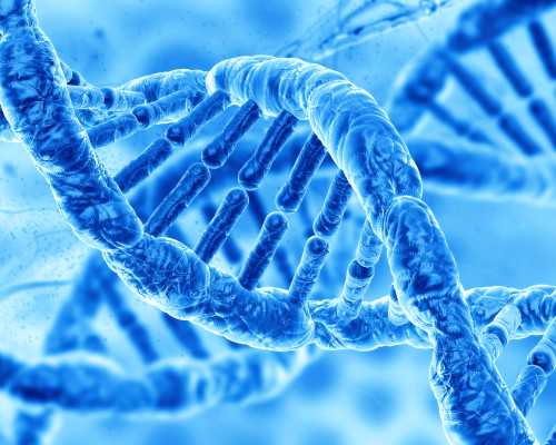 广州代怀生小孩价格多少？揭秘医院收费标准