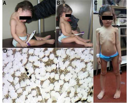 广州供卵代怀机构与正规助孕医院综合盘点