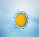 <strong>广州靠谱的供卵试管医院大盘点！附试管详细费用</strong>