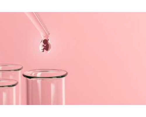 广州彩虹宝贝助孕公司怎么样？如何寻找正规中介？