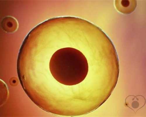 国内供卵机构数量与费用详解及助孕指南