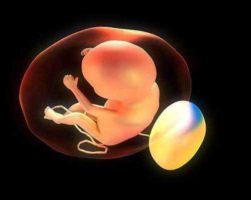 权威代生机构与辅助生殖服务解析