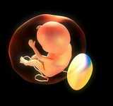 权威代生机构与辅助生殖服务解析