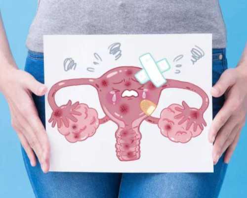 揭秘供卵骗局套路与试管取卵数量指南