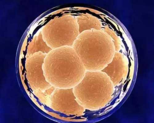 广州第三代供卵试管医院条件与地中海贫血预防指南