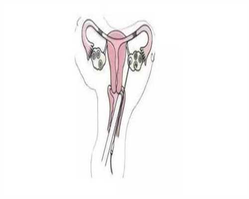 厦门供卵助孕指南·不孕症状家庭的关键选择