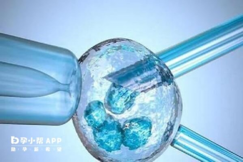 厦门供卵助孕指南；宫腔粘连试管成功关键解析
