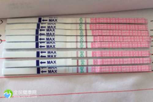 厦门39岁试管攻略—特殊家庭必看的成功指南